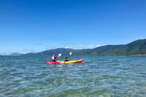 Kayak Turtle Tour From Palm Cove - Airlie Beach Holiday 48