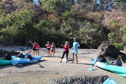 Kayak Turtle Tour From Palm Cove - Airlie Beach Holiday 46