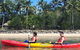 Kayak Turtle Tour From Palm Cove - thumb 22