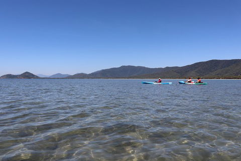Kayak Turtle Tour From Palm Cove - Airlie Beach Holiday 43
