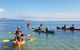 Kayak Turtle Tour From Palm Cove - thumb 37