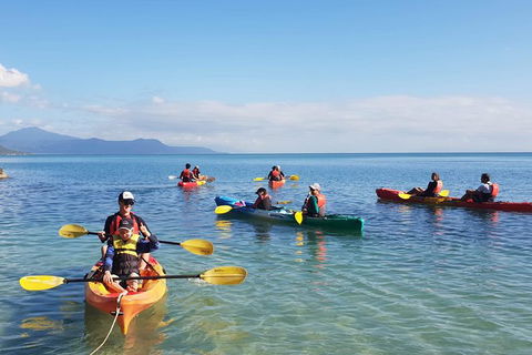 Kayak Turtle Tour From Palm Cove - Airlie Beach Holiday 37