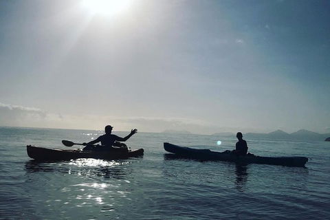 Kayak Turtle Tour From Palm Cove - Airlie Beach Holiday 7