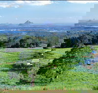 Full Day Sunshine Coast Hinterland Luxury Small Group Tour from Brisbane - Airlie Beach Holiday