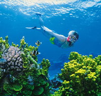 Full Day Snorkel In The Great Barrier Reef - Airlie Beach Holiday