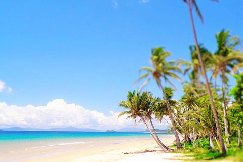 Airport Transfer - Mission Beach To Cairns Airport - Airlie Beach Holiday 3