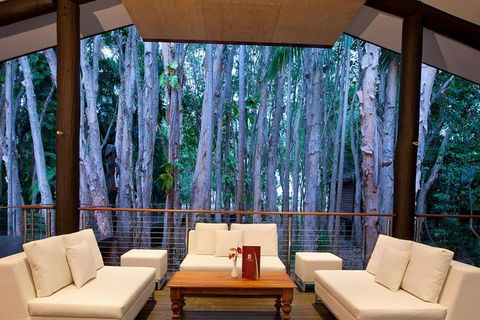 Airport Transfer - Cairns Airport To Palm Cove, Kewarra & Trinity Beaches - Airlie Beach Holiday 2