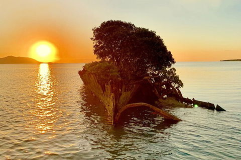 Aquascene Magnetic Island Sunset & Shipwreck Tour - Airlie Beach Holiday 3