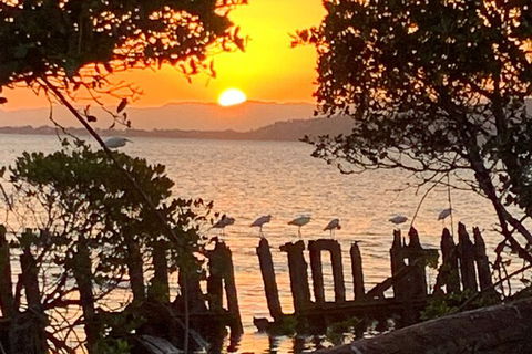 Aquascene Magnetic Island Sunset & Shipwreck Tour - Airlie Beach Holiday 2