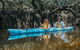 Kayak Tour In Adelaide Dolphin Sanctuary - thumb 0