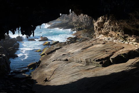 Kangaroo Island Luxury Small Group \'Flinders Chase Focus\' Full Day Tour - Airlie Beach Holiday 6