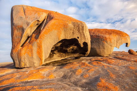 Kangaroo Island Luxury Small Group \'Flinders Chase Focus\' Full Day Tour - Airlie Beach Holiday 1