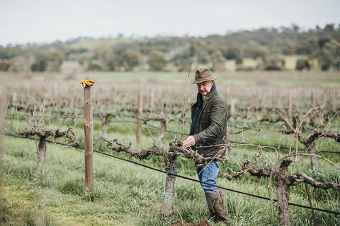 Armagh Vineyard Exclusive Wine Experience And Lunch - Airlie Beach Holiday 0