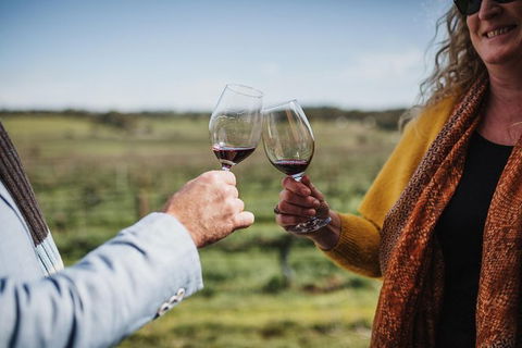 Armagh Vineyard Exclusive Wine Experience And Lunch - Airlie Beach Holiday 1