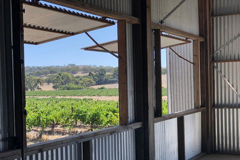 Armagh Vineyard Exclusive Wine Experience And Lunch - Airlie Beach Holiday 5