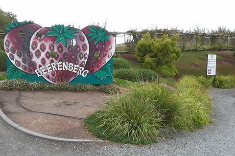 Adelaide Hills Regional / Hahndorf German Village Tour - Airlie Beach Holiday 6