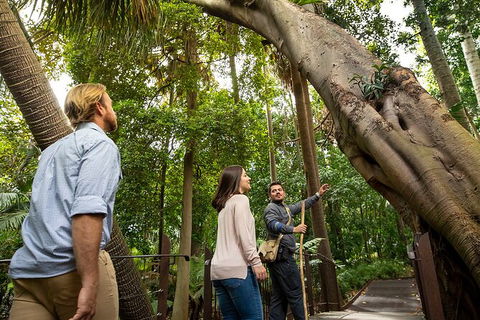 Aboriginal Heritage Walk - Royal Botanic Gardens Victoria, Melbourne Gardens - Airlie Beach Holiday 1