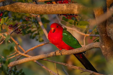 LGBT+ Friendly 12-Hour Great Ocean Road Private Tour - Airlie Beach Holiday 1