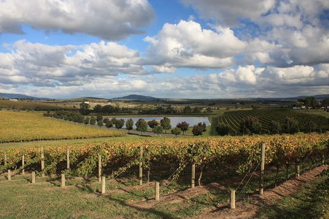 LGBT+ Friendly Full Day Yarra Valley & Dandenong Ranges Private Tour - Airlie Beach Holiday 0
