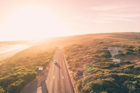 LGBT+ Friendly 2 Day Private Great Ocean Road Tour - Airlie Beach Holiday 1