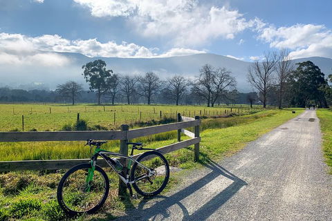 Aqueduct And Rail Trail Self-Guided Bike Tour In Warburton - Airlie Beach Holiday 5