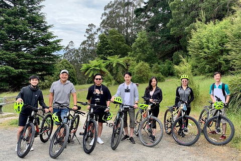 Aqueduct And Rail Trail Self-Guided Bike Tour In Warburton - Airlie Beach Holiday 0