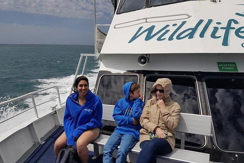 Phillip Island Penguin And Wildlife Tour - Airlie Beach Holiday 15