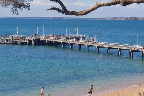 Phillip Island Penguin And Wildlife Tour - Airlie Beach Holiday 2