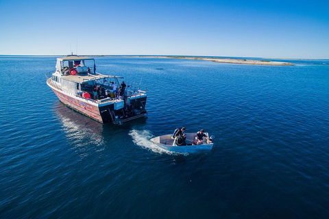 Abrolhos Islands 4 Day Fishing Charter - Airlie Beach Holiday 0
