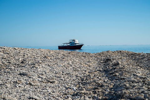 Abrolhos Islands 4 Day Fishing Charter - Airlie Beach Holiday 1