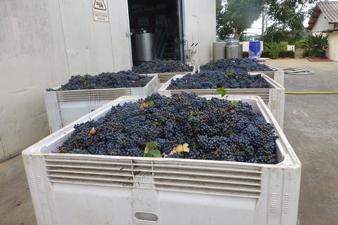 A Taste Of Margaret River Luxury Wine Tour - Airlie Beach Holiday 3