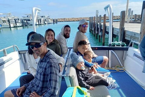 Whale Watching Boat Tour In Geraldton - Airlie Beach Holiday 1