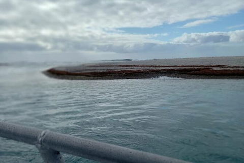 Abrolhos Islands Fishing Charter - Airlie Beach Holiday 6