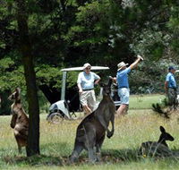 Glen Innes Golf Club - Airlie Beach Holiday