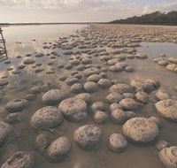 Lake Clifton Thrombolites - Airlie Beach Holiday