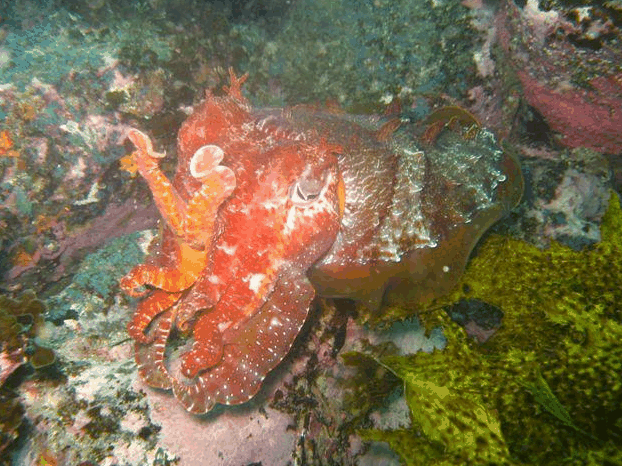Hyams Beach NSW Airlie Beach Holiday