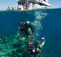 Down Under Cruise and Dive - Airlie Beach Holiday