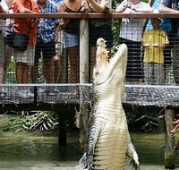 Hartley's Crocodile Adventures - Airlie Beach Holiday
