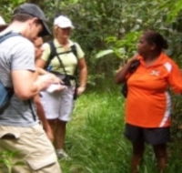 Ingan Tours - Spirit of the Rainforest Tour - Airlie Beach Holiday