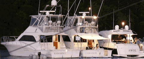 Abel Point Marina - Airlie Beach Holiday 3