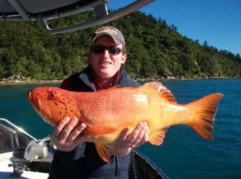 Gone Fishing By Coral Sea Fishing Charters Airlie Beach - Airlie Beach Holiday 0