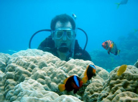 Illusions - Airlie Beach Holiday 1