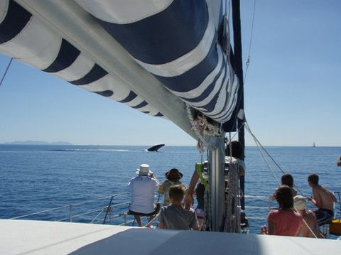 Illusions - Airlie Beach Holiday 2