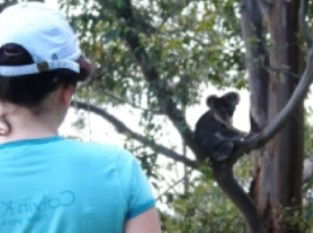 Araucaria Ecotours - Airlie Beach Holiday 1