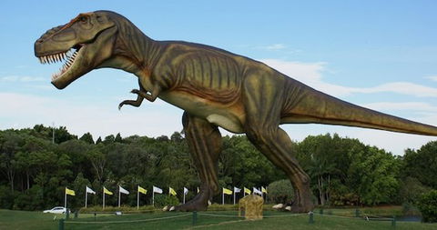 Palmersaurus Park - Airlie Beach Holiday 1