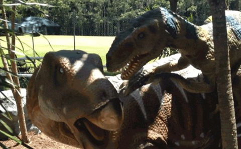 Palmersaurus Park - Airlie Beach Holiday 4