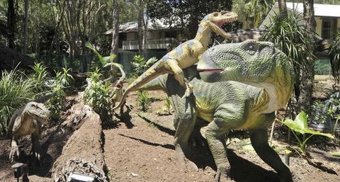 Palmersaurus Park - Airlie Beach Holiday 5