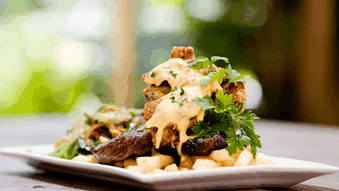 Hinterland Hotel - Airlie Beach Holiday 4