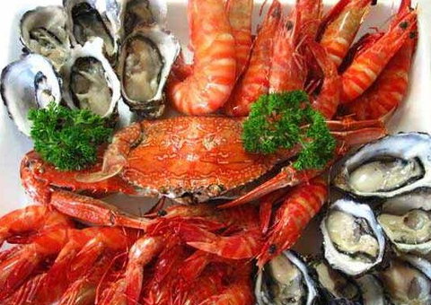 The Lazy Lobster - Airlie Beach Holiday 1