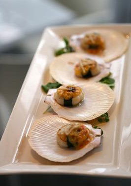 The Point Restaurant & Bar - Airlie Beach Holiday 0